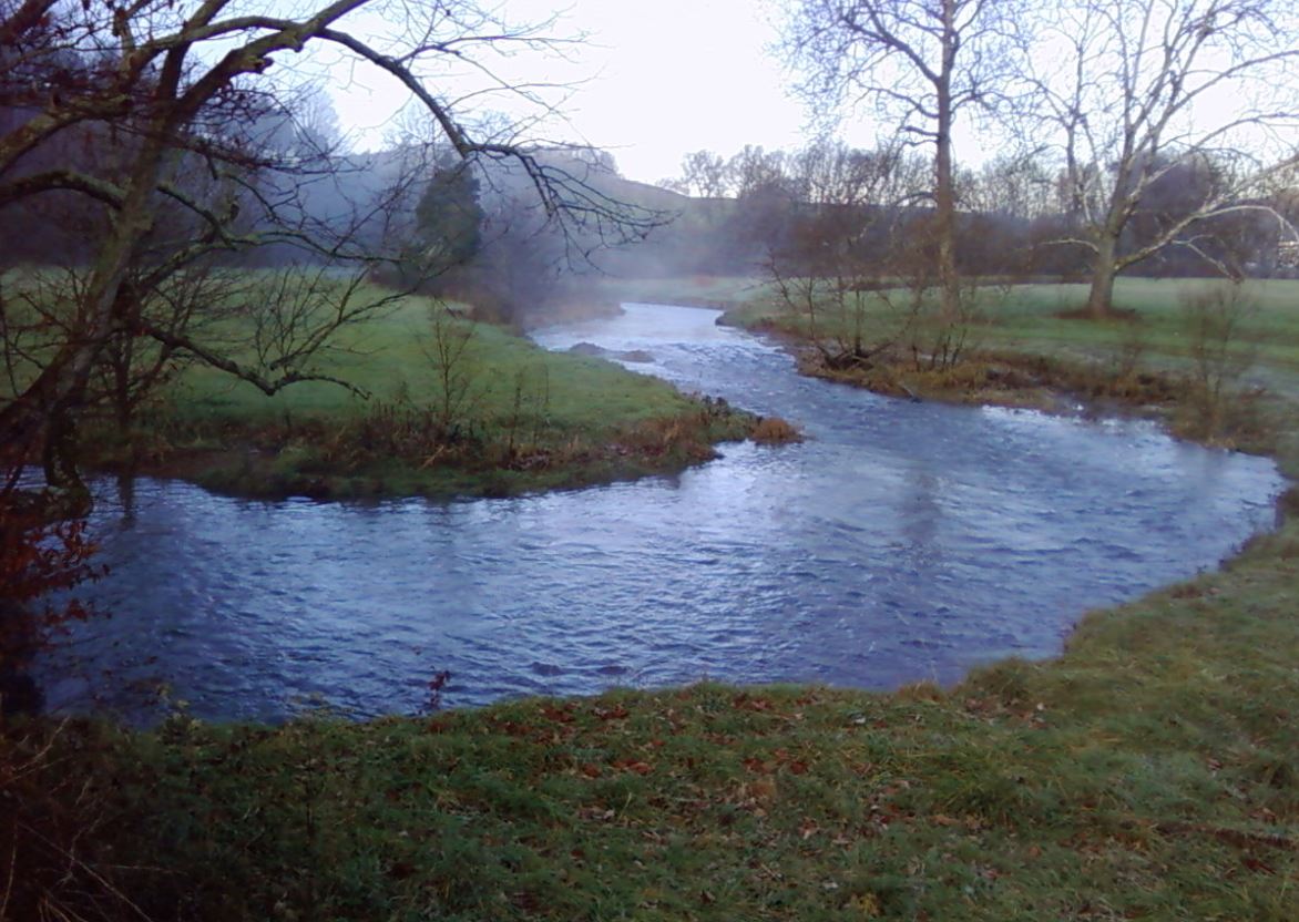 Cedar Springs Trout Farm